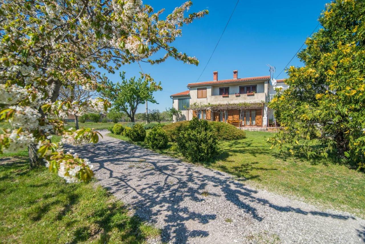 Apartment With Terrace In Filipana Marčana Esterno foto
